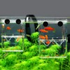 AIMALL Guppy Breeding Box for Aquariums, Transparent Acrylic Fish Tank