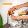 bremermann Sink Organizer with Dual Dish Liquid Dispenser and Sponge