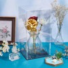 FINGERINSPIRE 16 x 16 x 30.5 cm Transparent Acrylic Display