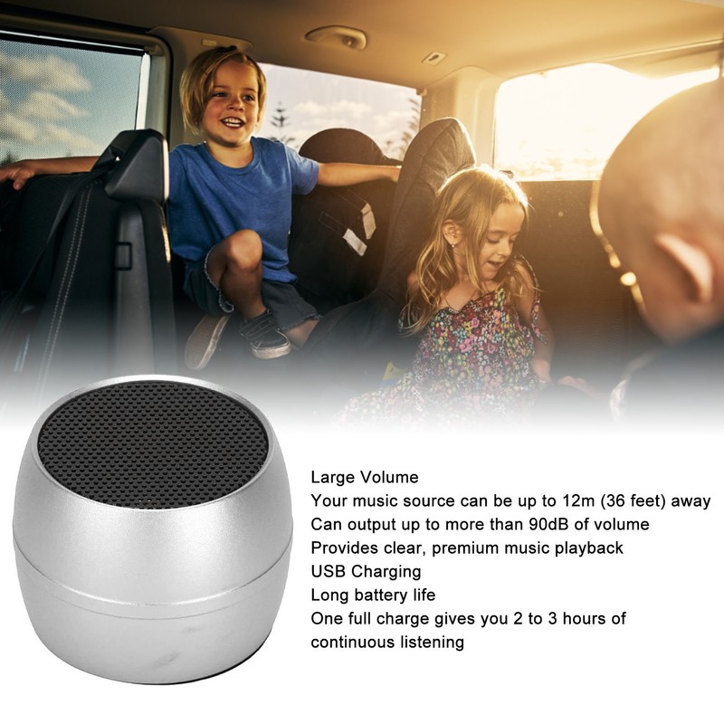 Mini Bluetooth Speaker IP67 Waterproof USB Charging Built in Mic