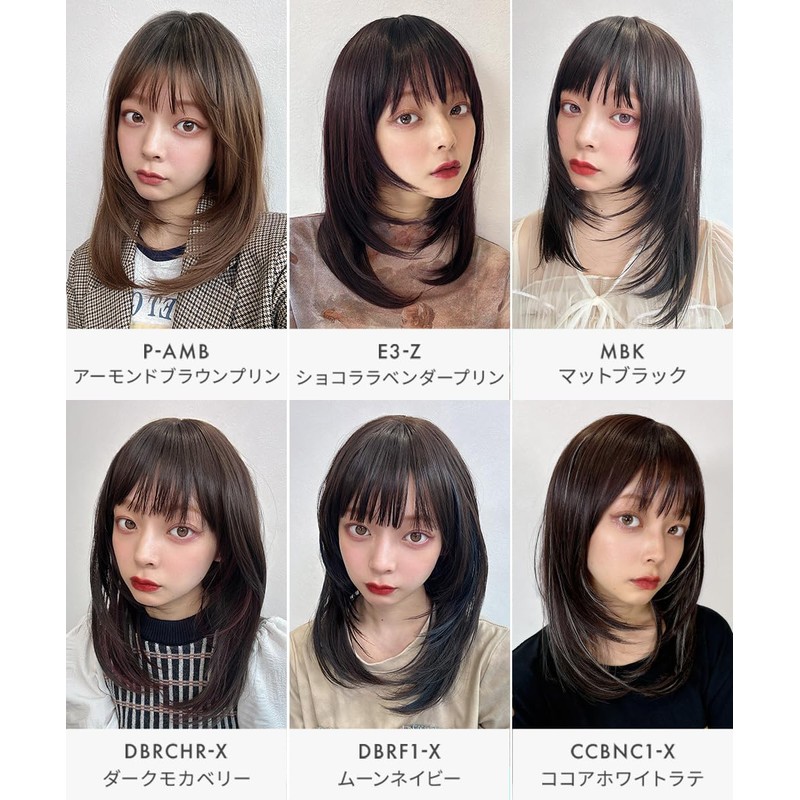 AQUADOLL wg352MBK Medium Semi-Long Layered Inner Mesh Full Wig, One