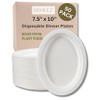 brheez Disposable Oval Large Plates Made from Plant Fiber More