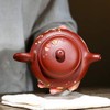 Zisha Teapot 8.8 Oz Yixing Clay Handmade Teapot with Filter,Chinese