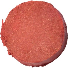 Renova Labial De Larga Duración Matte Absoluto Indeleble Mina Renov