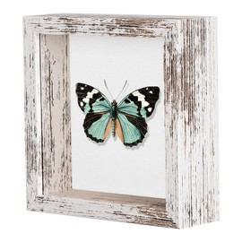 Califortree 5x5 Small Shadow Box Picture Frame with Soft Linen Back - Push Pins Included, Memory Shadow Box Display Case for Bouquet Awards Medals Wedding Photos and More, Rustic White