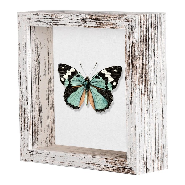 Califortree 5x5 Small Shadow Box Picture Frame with Soft Linen