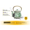 TOPTIER Japanese Teapot with Stainless Steel Infuser, Cast Iron Tea