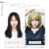 TefuRe H-6132-BkLt Wig, Medium, Long Bangs, Wig, Women, Loose Wave,