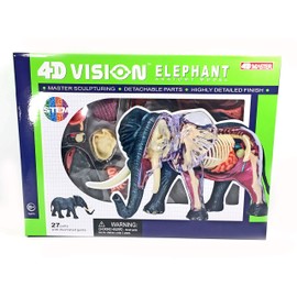 4D Vision Elephant Anatomy Model - Medical Quality Collectible with Fully Detachable Organs and Body Parts