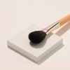 THE TOOL LAB 157 Light Touch Blusher Brush - THE