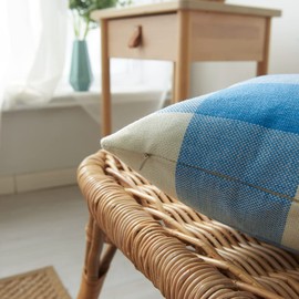 HOPLEE Buffalo Check Blue Pillow Covers 22x22 Outdoor Pillows Covers Decorative Light Blue and White Buffalo Plaid Set of 2