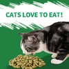 Just Try 13.4 OZ Cat Treats for Indoor Cats Hairball