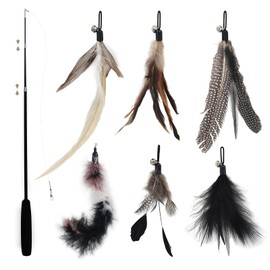 SONGWAY Interactive Cat Feather Toys - 7 Pcs Cat Toy Set, Retractable Cat Wand Toy, Teaser Refills Worm Bird Feathers with Bell, Cat Teaser Toys for Indoor Cats Kitten Play Chase Exercise, Black