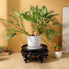 JOINPAYA Resin Pedestal Base 9.64 in Round Plant Stand for Vase Fishbowl Flower Pot Bonsai Indoor Outdoor Chinese Display Rack for Living Room Balcony Office Patio Decor