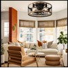 Ohniyou Flush Mount Caged Ceiling Fan with Lights Remote Control,