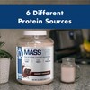 NutraOne Massone Mass Gainer Protein Powder Gain Weight Protein Meal