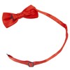 Time to Sparkle Bow Tie Mens Bowties Pre-tied Shape Clip