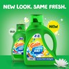 Gain Ultra Oxi Liquid Laundry Detergent, Waterfall Delight Scent, 194