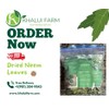 100% Natural Dried Neem Leaves – Powder or Whole |
