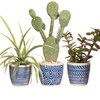 Sass & Belle Blue Mini Cement Planters - Set Of