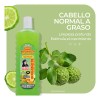 Shampoo Bergamota Del Indio Papago