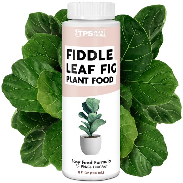 TPS NUTRIENTS Fiddle Leaf Fig Plant Food for All Fig
