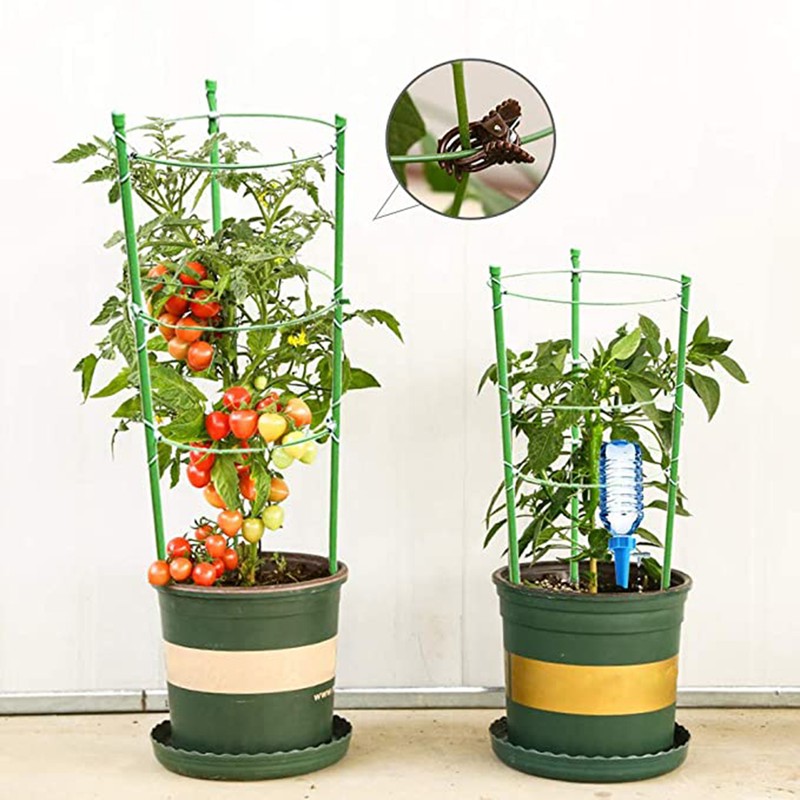 4 Pack Climbing Plant Support Cage Garden Trellis Flowers Tomato