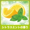 [Deodorizing Power Trash Can] [Bulk Purchase] Citrus Mint for Trash