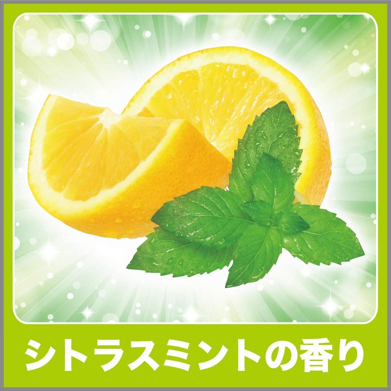 [Deodorizing Power Trash Can] [Bulk Purchase] Citrus Mint for Trash