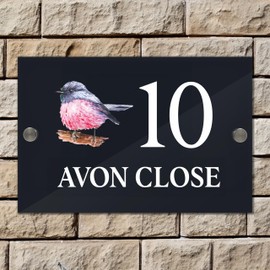 Badgemaster Modern Anthracite House Number Sign Plaque Stainless Steel Standoffs 20cm x 13cm Large Robin Bird