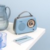 Roxel RFM01 Retro FM Radio Party speaker – Timeless Design,