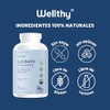 Wellthy Glicinato de Magnesio 300 Cápsulas 432mg. 100% Natural,100% Puro,