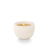 Tried & True Orchard Cider Ceramic Apple Candle, White