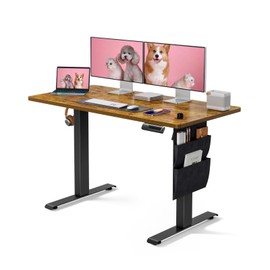 Marsail Electric Standing Desk, 48x24 Inch Adjustable Height Home Office Desk with Memory Presets, Storage Bag, and Headphone Hook - Ideal Stand-Up Desk for Computer Workstations