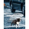 Clear Pet Umbrella Dog Rainy Day Dog Leash With C