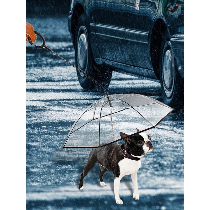 Clear Pet Umbrella Dog Rainy Day Dog Leash With C