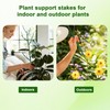 PERSZEN 6 Pack Stackable Monstera Plant Support, Plant Stakes for