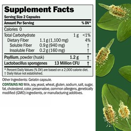 ANDREW LESSMAN Fibermucil Capsules -Psyllium Husk Powder. Gently Promotes Regularity and Digestive Health. Rich in Fiber. Gentle, Easy, Effective. No Additives. Small Easy to Swallow Capsules