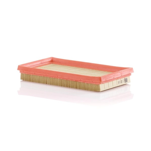 Mann Filter C 22 016 Air Filter