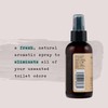Air Essentials Essential Oil Toilet Spray - Odor Eliminator &