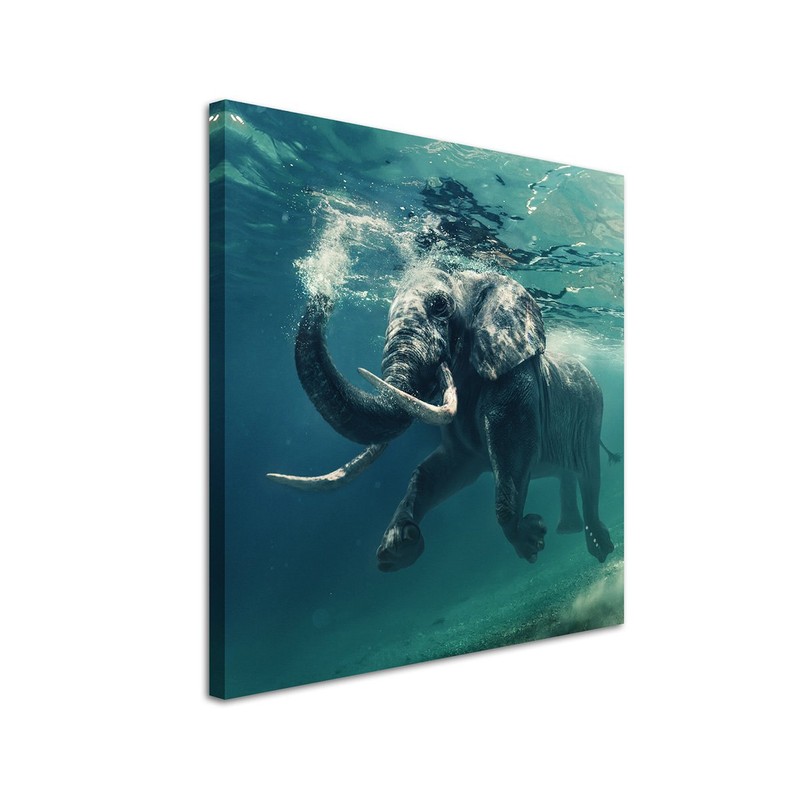 Sinus Art Wall Picture 90 x 90 cm Animal Photography