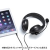 Sanwa Supply MM-HS401BK Headset, 0.1 inch (3.5 mm) Mini Plug