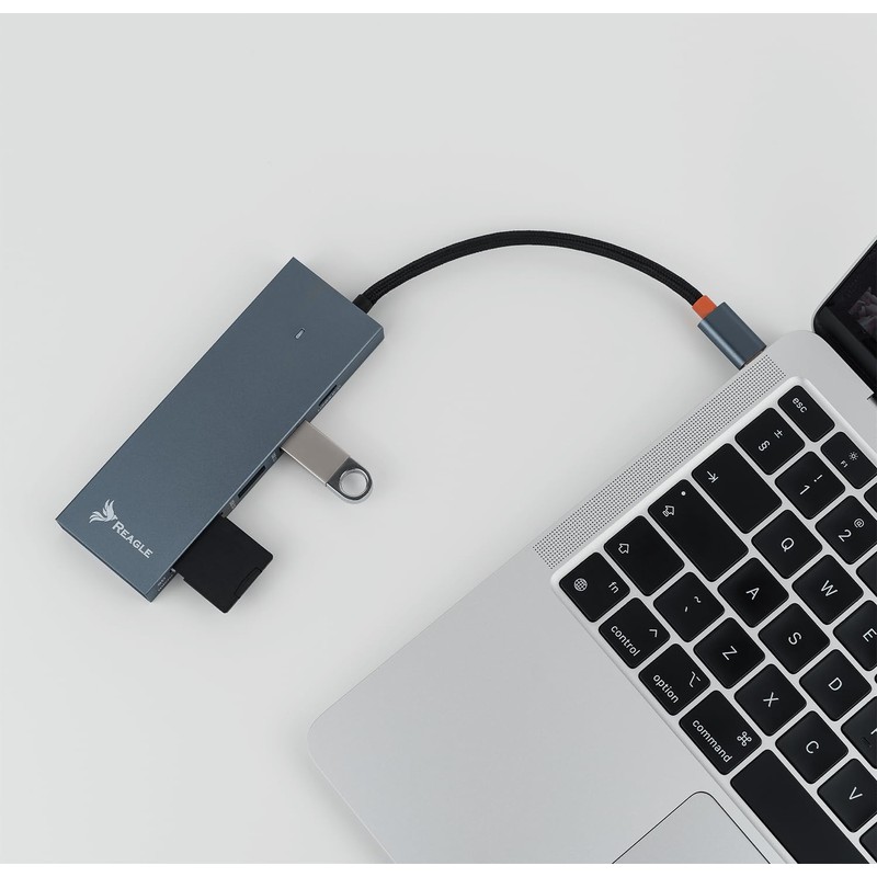 Reagle 7-in-1 USB-C Hub with 100W Power Delivery, 4K HDMI