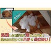 Ikari Shodoku Wasp Nest Destroyer, Foam, 10.1 fl oz (300