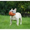 CILKUS Short Snout Dog Muzzles - Bulldog Muzzle Adjustable Breathable