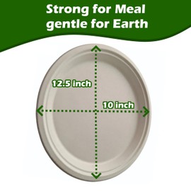 Royal Sirius 12 Inches (50 Pack) Oval Disoposable Paper Plates Sugarcane Fiber Platters Compostable Biodegradable eco-friendly for Parties Familiy Events Restaurants