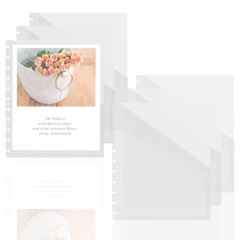 6 Pack Junior Discbound Pocket Dividers Pocket Dividers Clear Discbound Notebook Dividers Junior Discbound Pocket Folder 8 Disc Junior Dividers with Pockets for Office Discbound Notebook Accessories