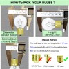 Lava Lamp Light Bulb 25W S11 E17 Base Replacement Bulbs