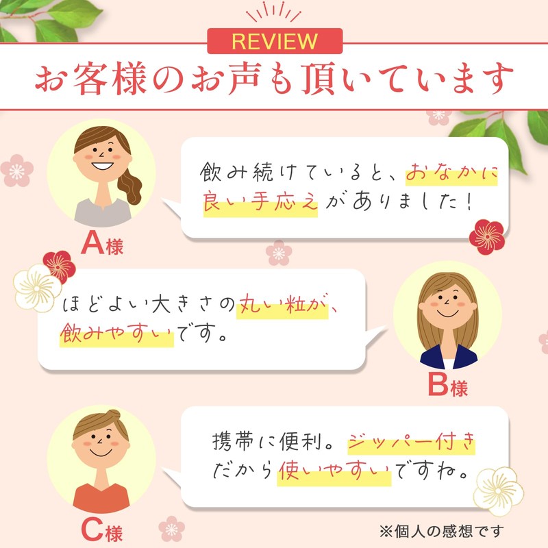 管理栄養士監修 梅肉エキス 梅エキス 粒 健梅粒 塩分不使用 和歌山県産 飲みやすい粒タイプ サプリメント 約400粒