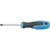 Hazet 810 Phillips PH0 Screwdriver (Black Mattverchromte Blade, Burnished Tip)